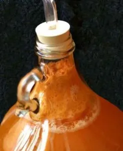 A jug of fermenting cider with foam at the neck
